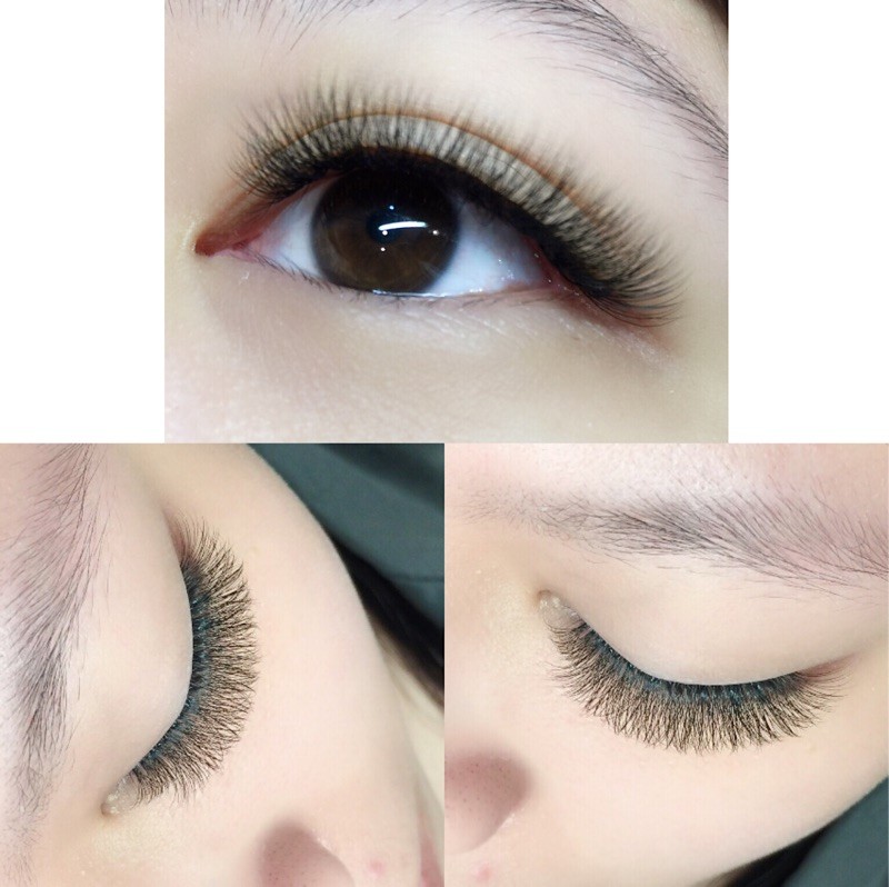 美睫师御用朵毛?便利花 超好用 回购率超高